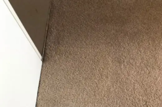 Carpet Cleaning in Norlane