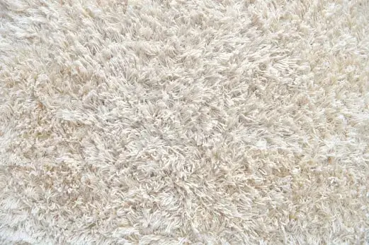 Carpet Cleaning in Norlane